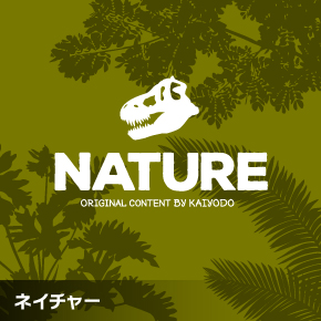 その他のネイチャーモデル