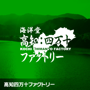 高知四万十ソフビ