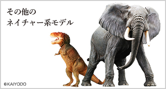 その他ネイチャーモデル
