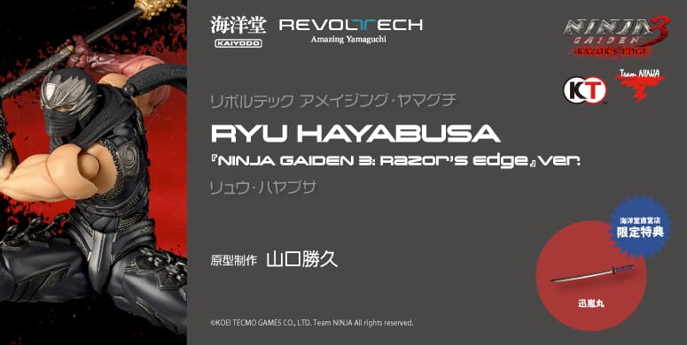 リュウ・ハヤブサ