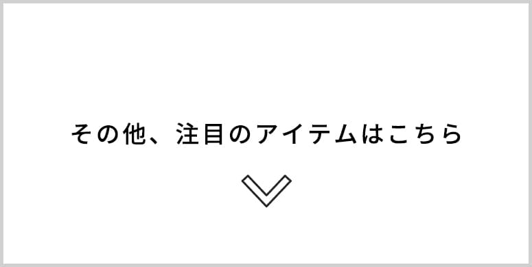 その他、注目のアイテムはこちら