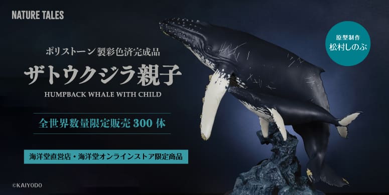 ザトウクジラ親子