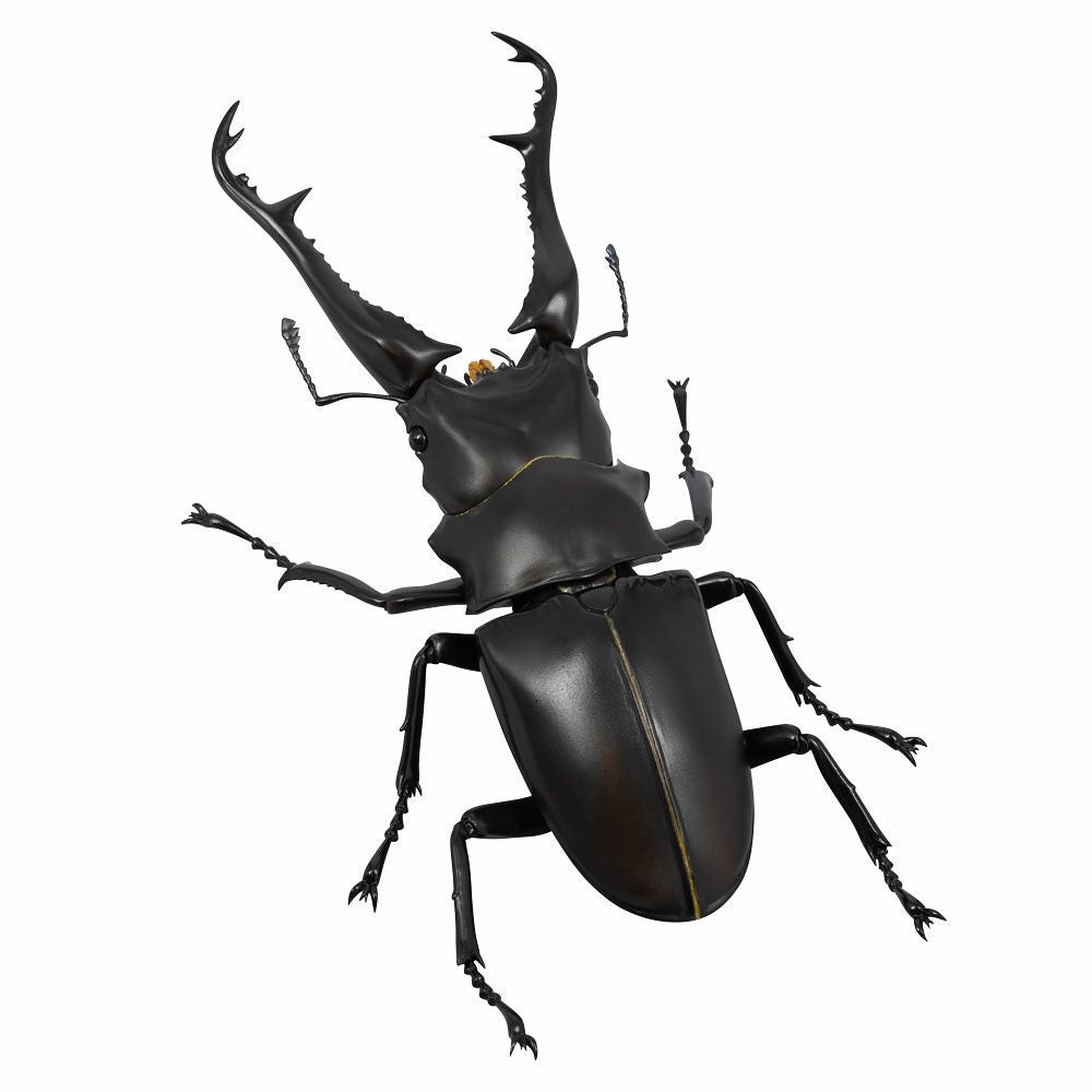 松村しのぶ | 海洋堂オンラインストア