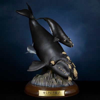 NATURE TALES ホホジロザメ[限定品] | 海洋堂オンラインストア