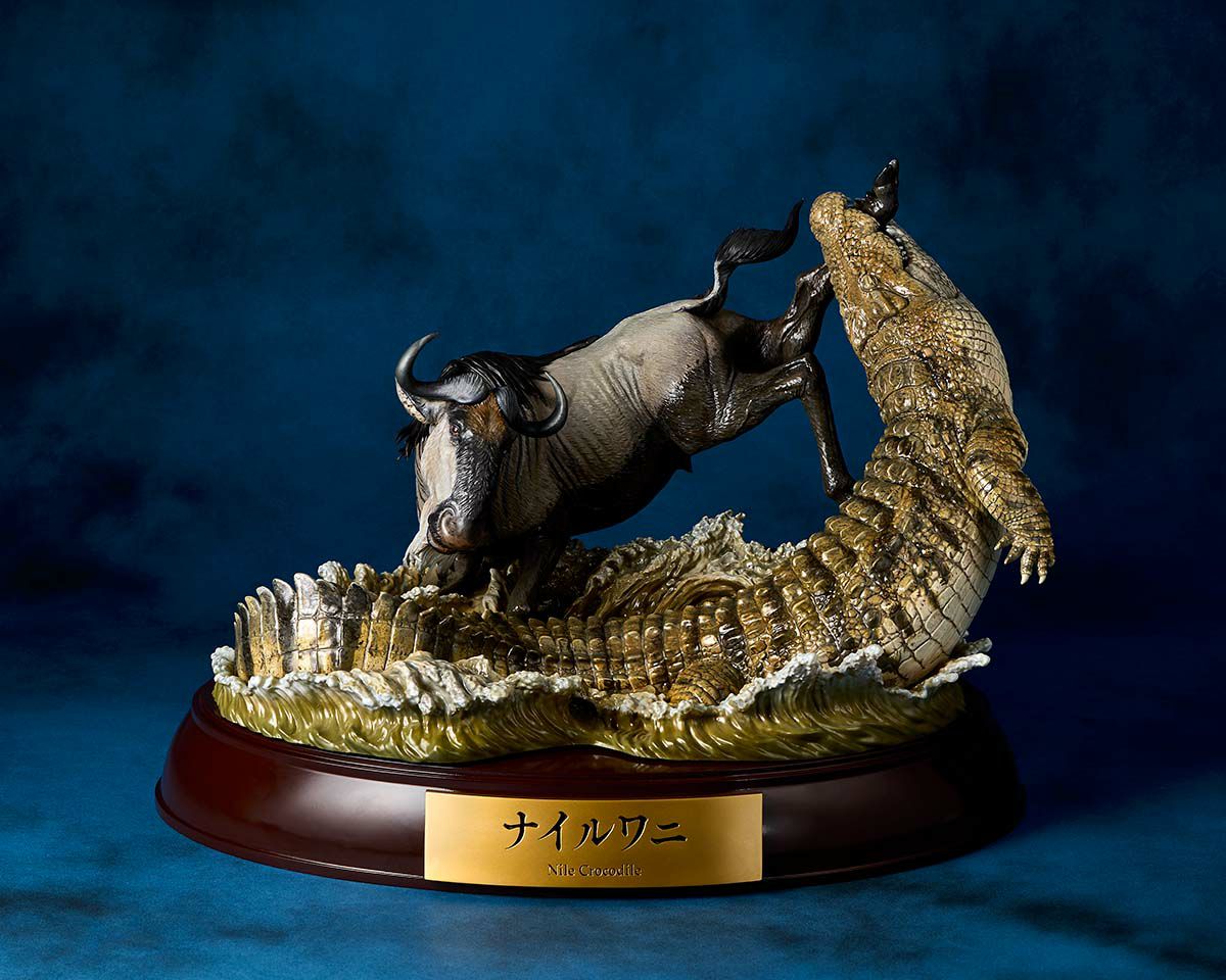 000000001240-01.jpg?size=m&w=