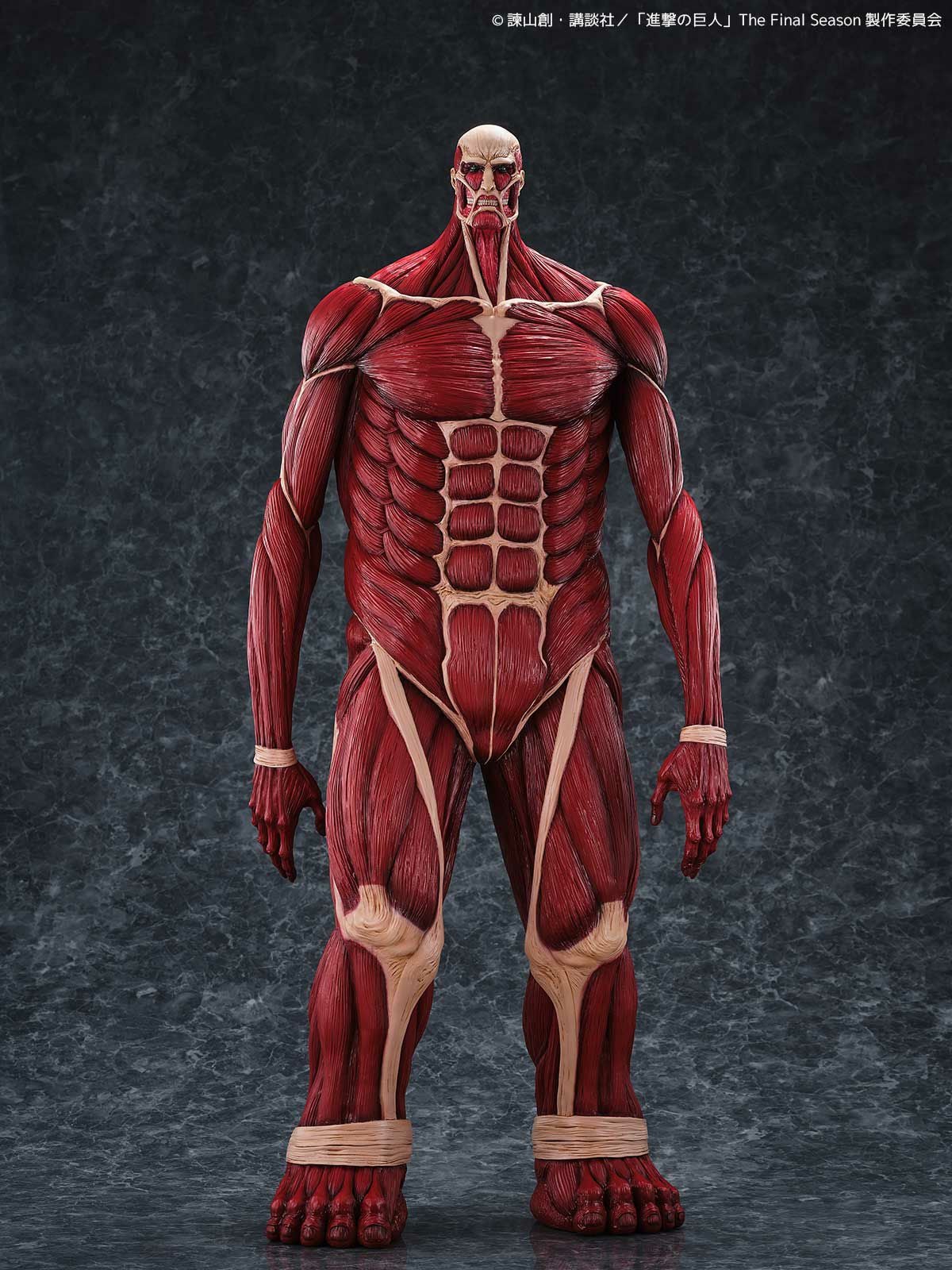 リボルテック アメイジング・ヤマグチ 女型の巨人（2026年再販）［予約